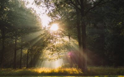 Wandelroute Historisch Landgoed Eerde