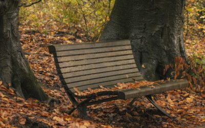 Wandelroute Heuven Beekhuizen op de Veluwezoom