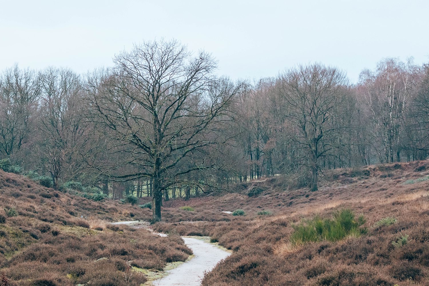 Wandelknooppunten veluwezoom