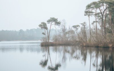 De vennen van Oisterwijk