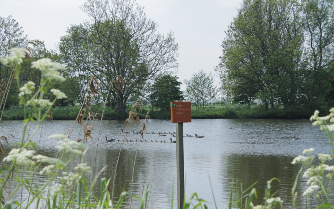 wandelen in de weipoort