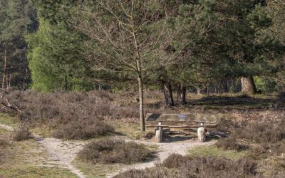 Een wandeling op Heidestein; afwisselend en verrassend