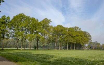 Wandelen Landgoed De Utrecht: afwisselend en leuk