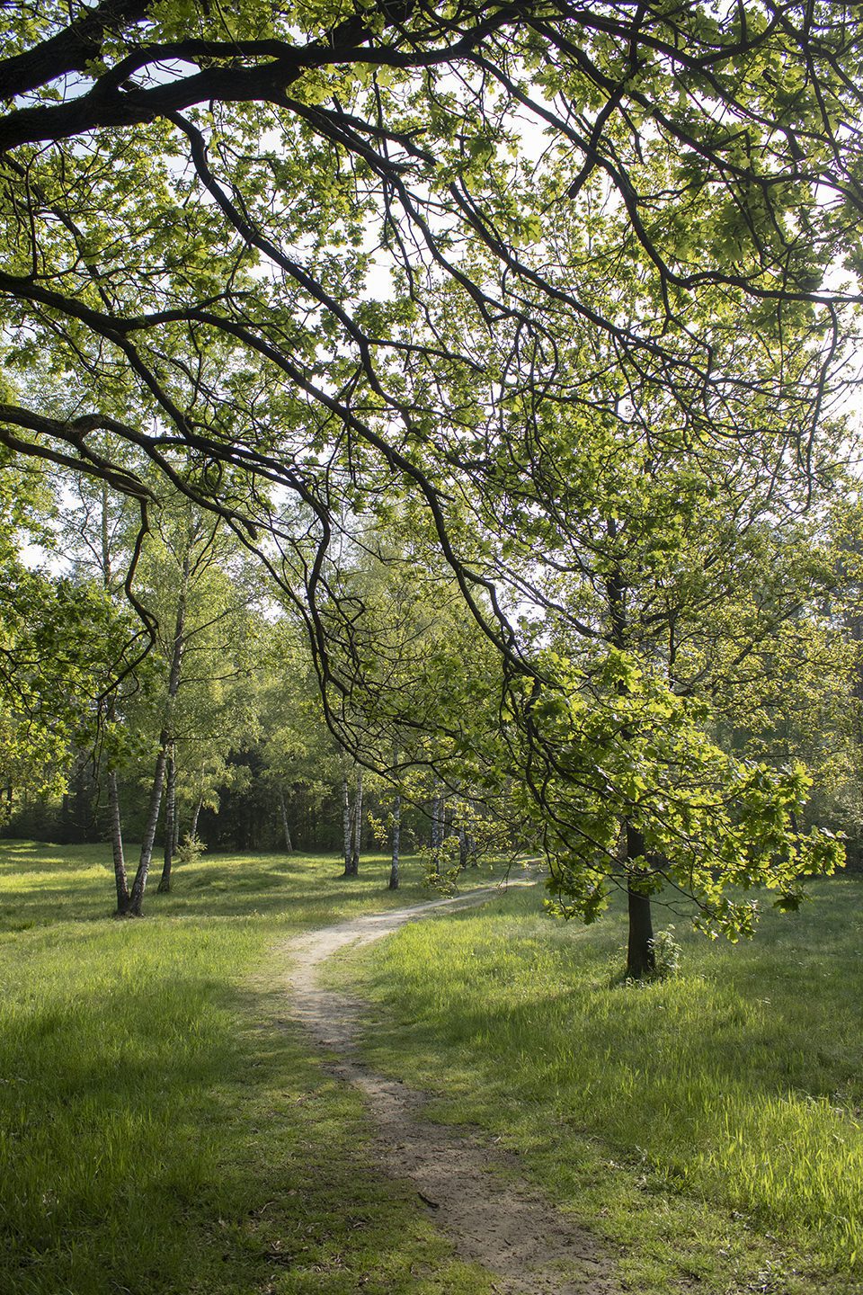 wandelroute hunebedden