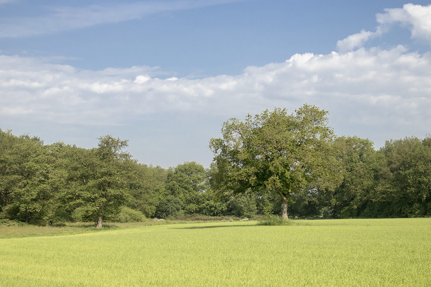 wandelroute orvelte