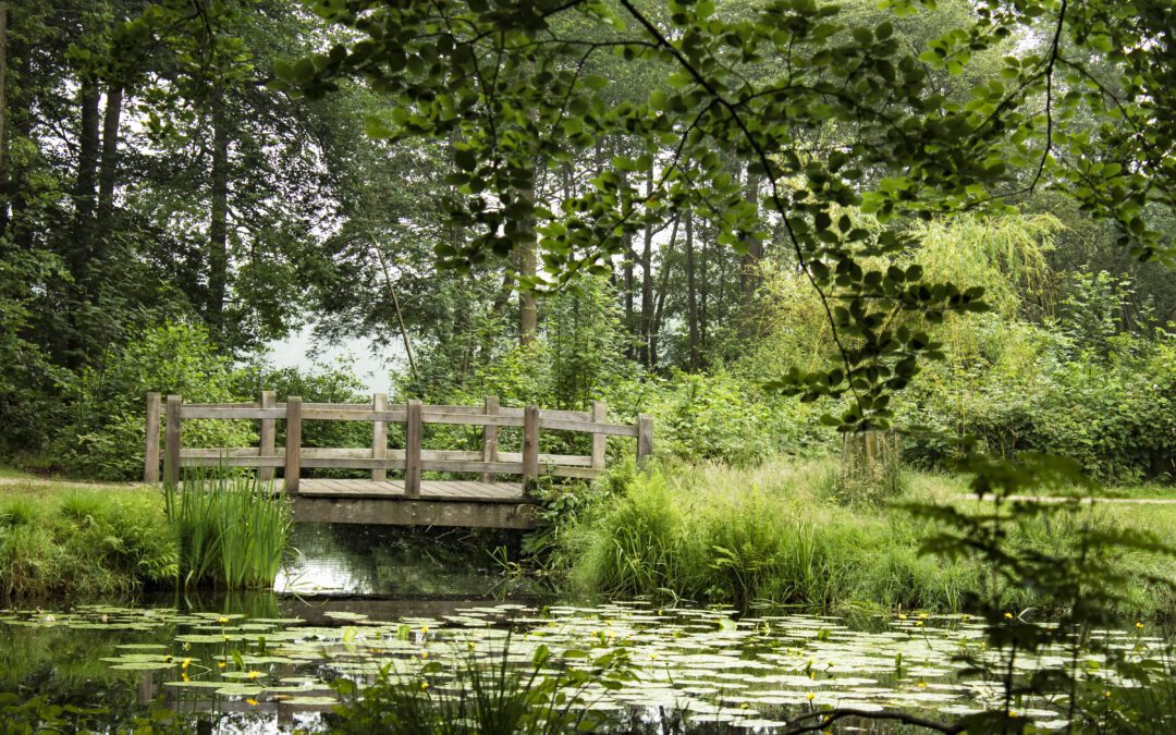 landgoed Groeneveld Baarn