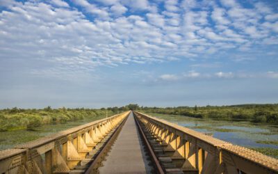 Moerputtenbrug wandelroute; bijzonder en uniek