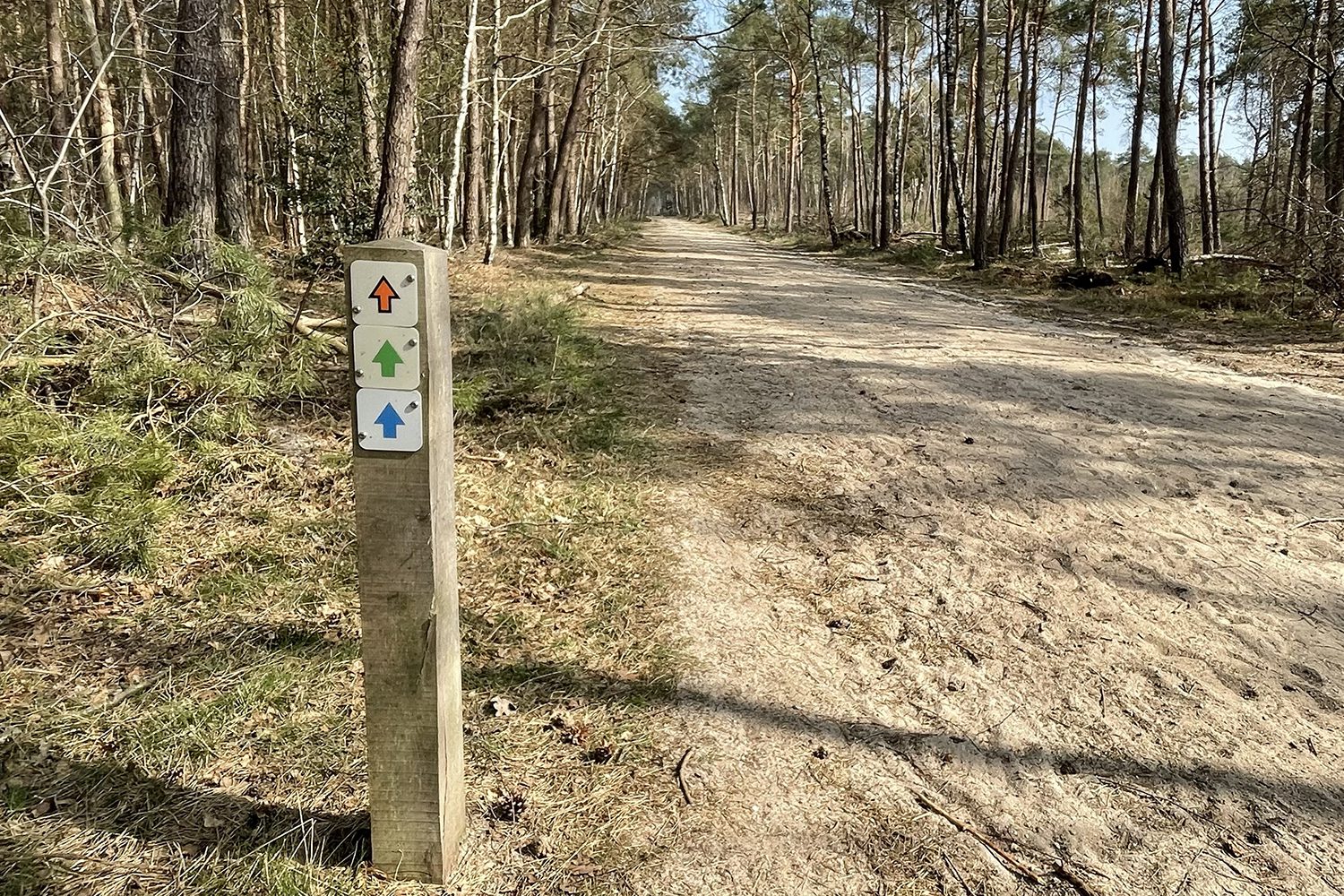 wandelen Sallandse Heuvelrug