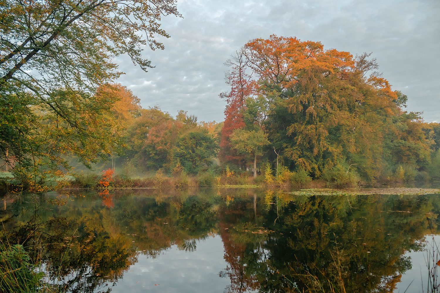 Komootroute Springendal