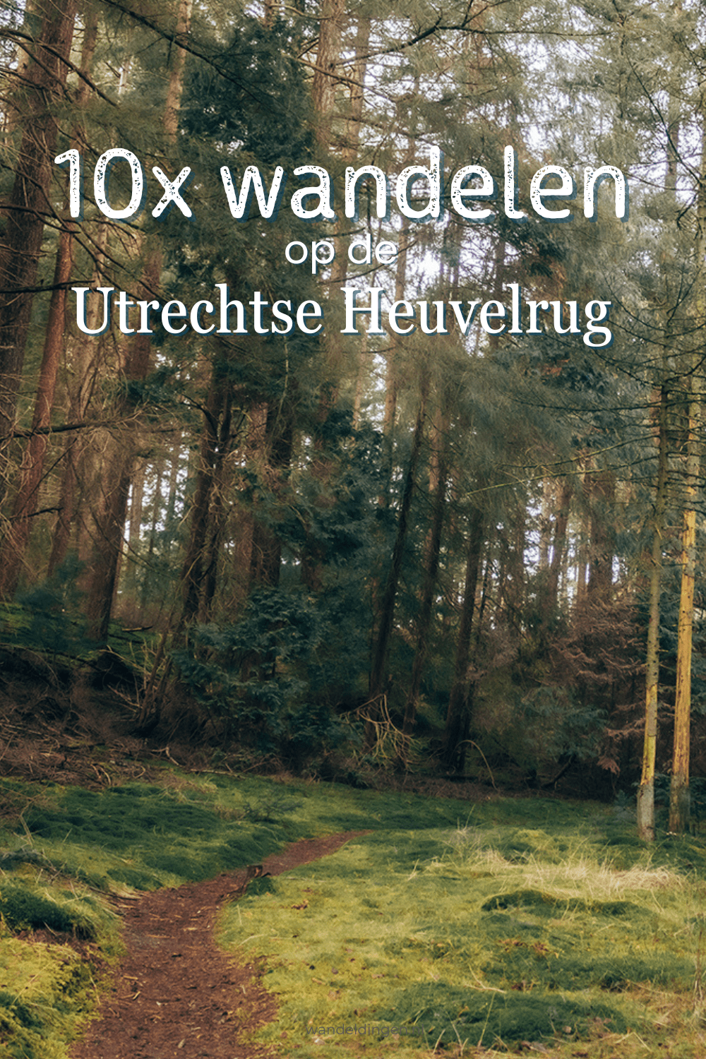 wandelen op de Utrechtse Heuvelrug