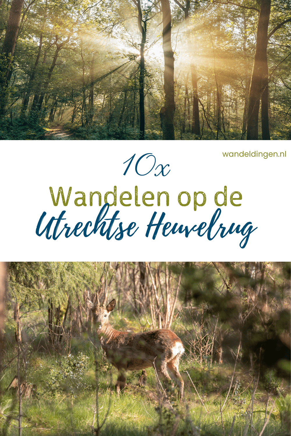 wandelen op de Utrechtse Heuvelrug