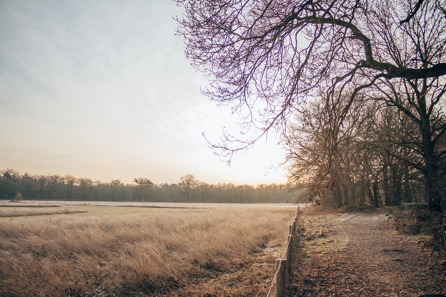 wandelen op de Utrechtse Heuvelrug