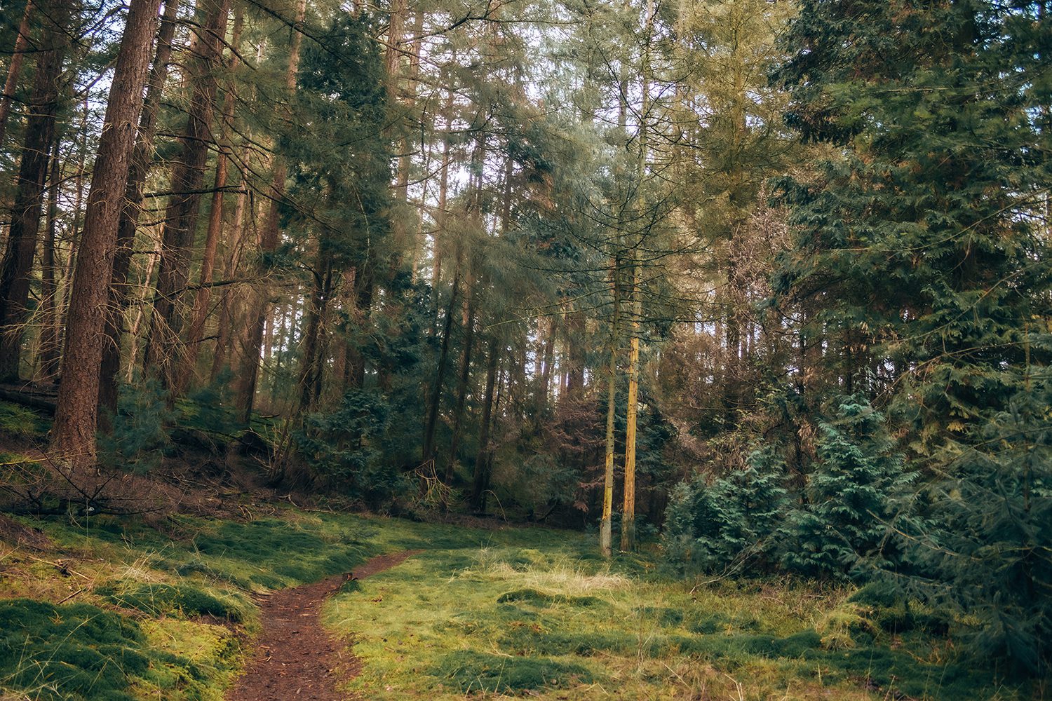 wandelen op de Utrechtse Heuvelrug