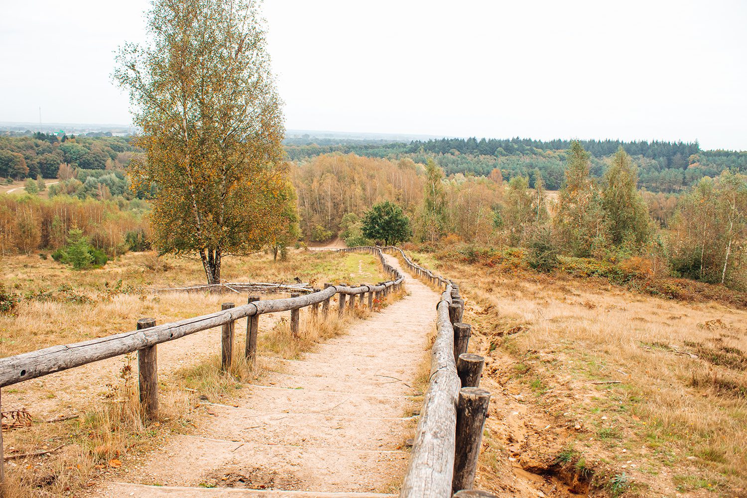 wandelen op de Utrechtse Heuvelrug