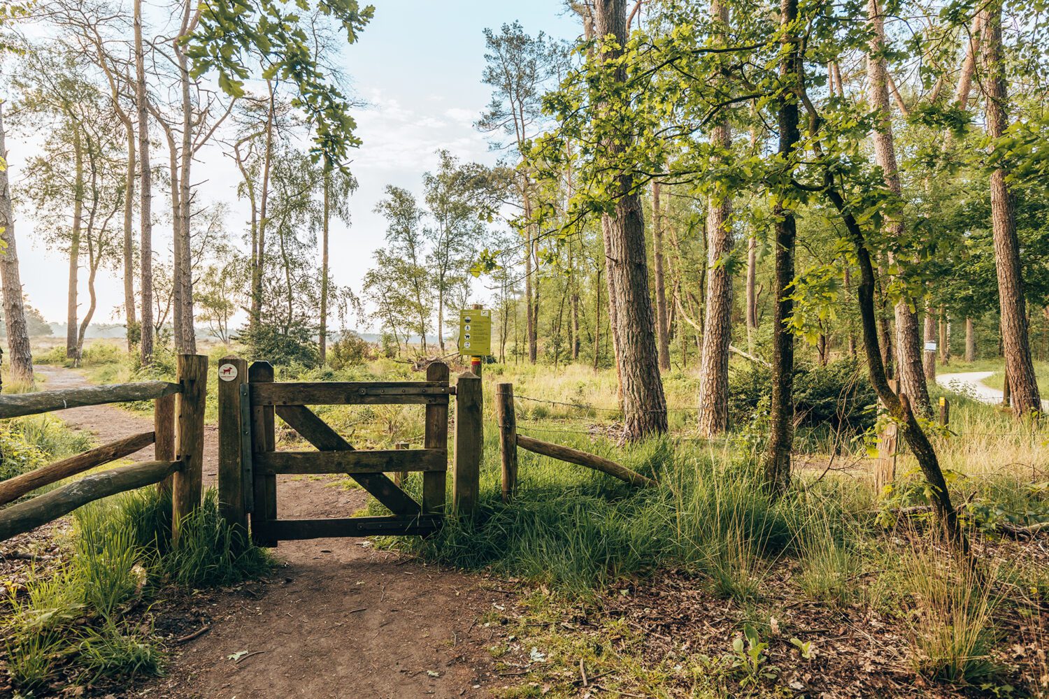 wandelen op de Utrechtse Heuvelrug