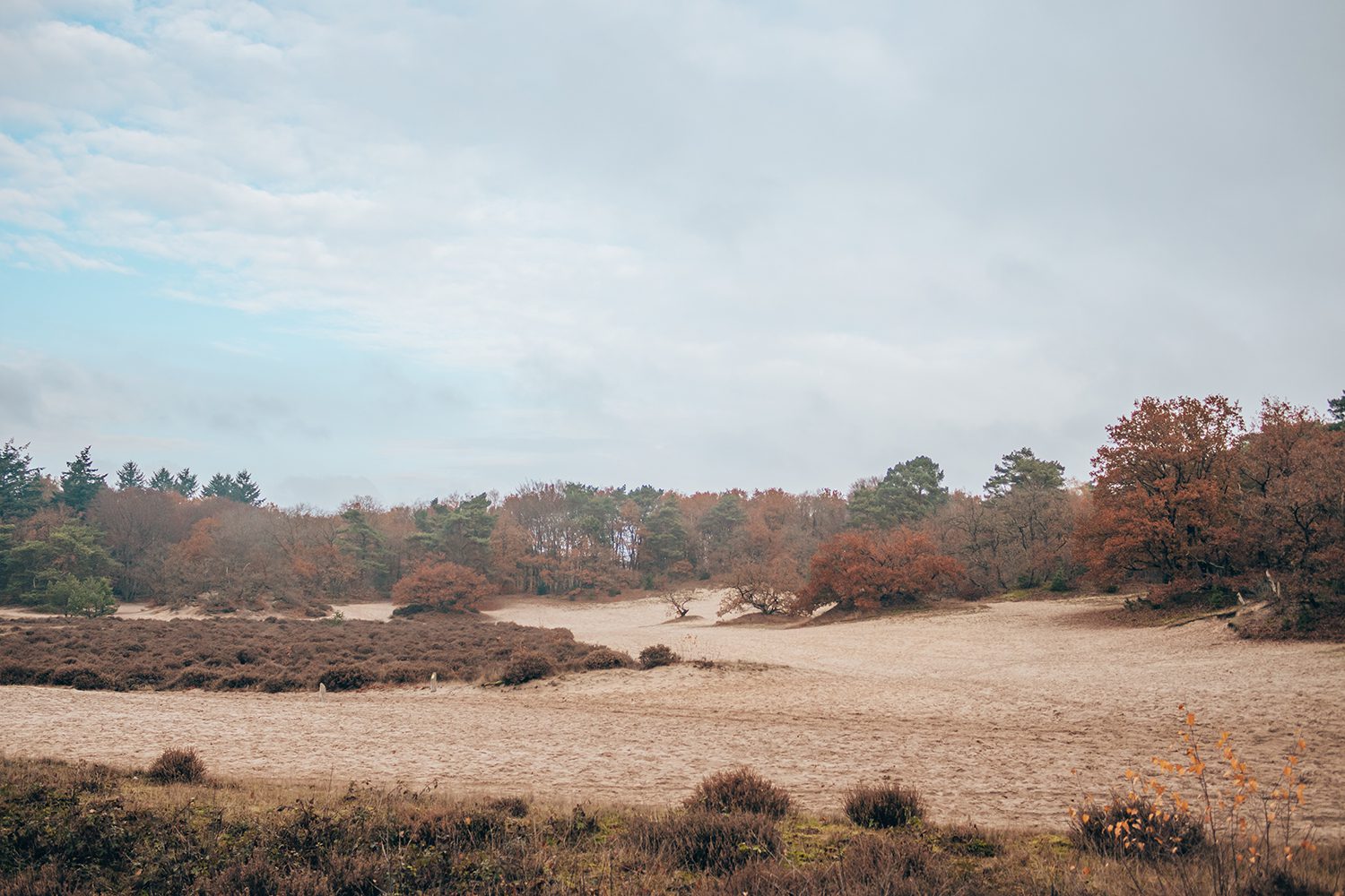 wandelen op de Utrechtse Heuvelrug