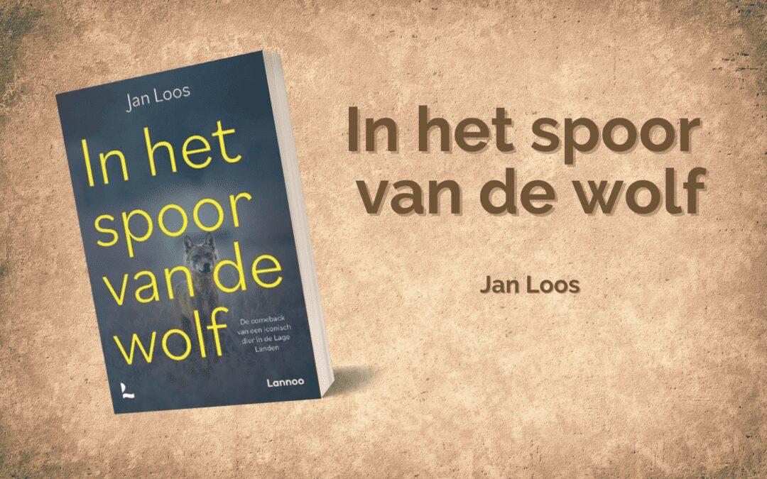 In het spoor van de wolf