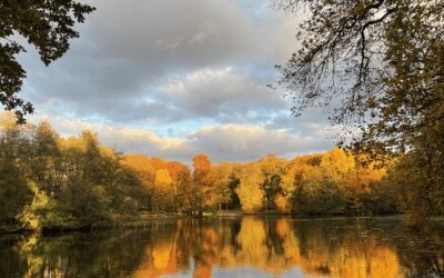 Wandelroute Sonsbeekpark vol monumenten