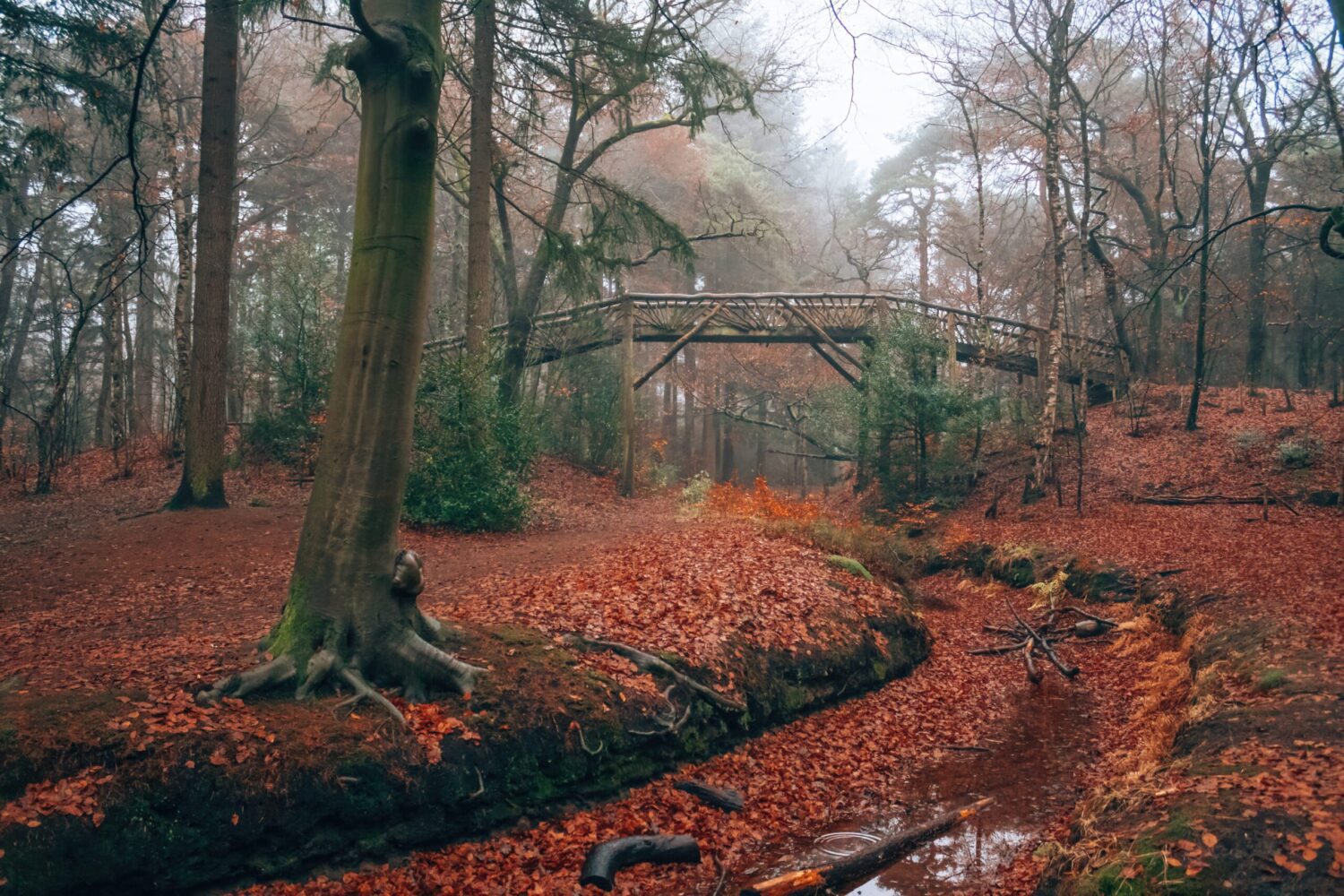 wandelroute driebergen