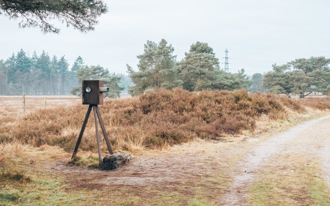 Wandelroute wekeromse zand