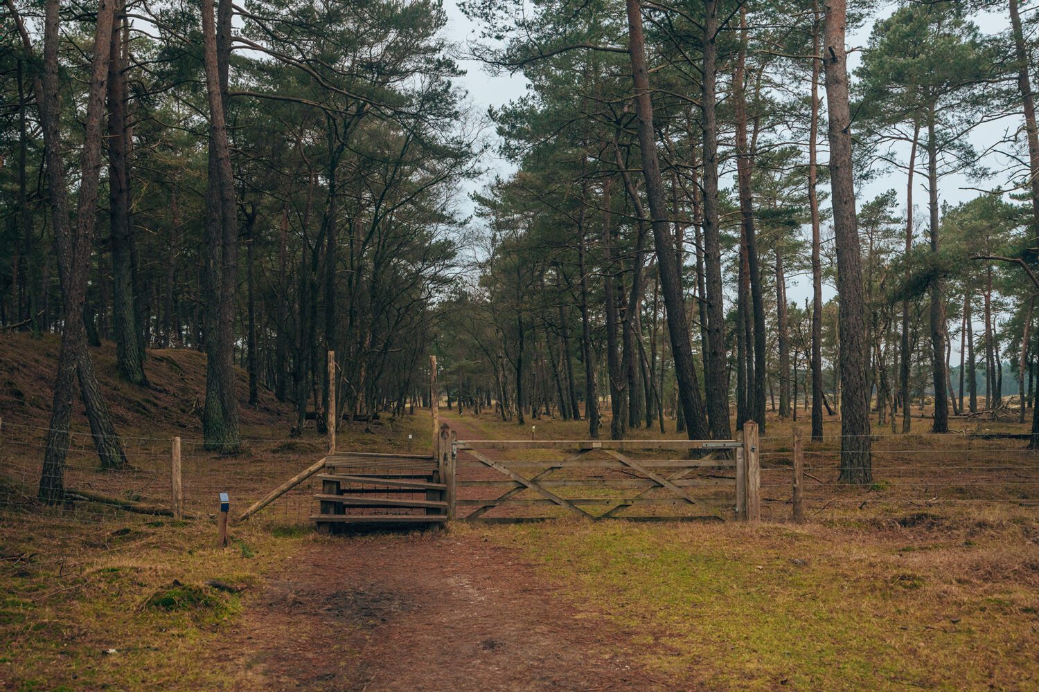 wandelroutes bij Driebergen