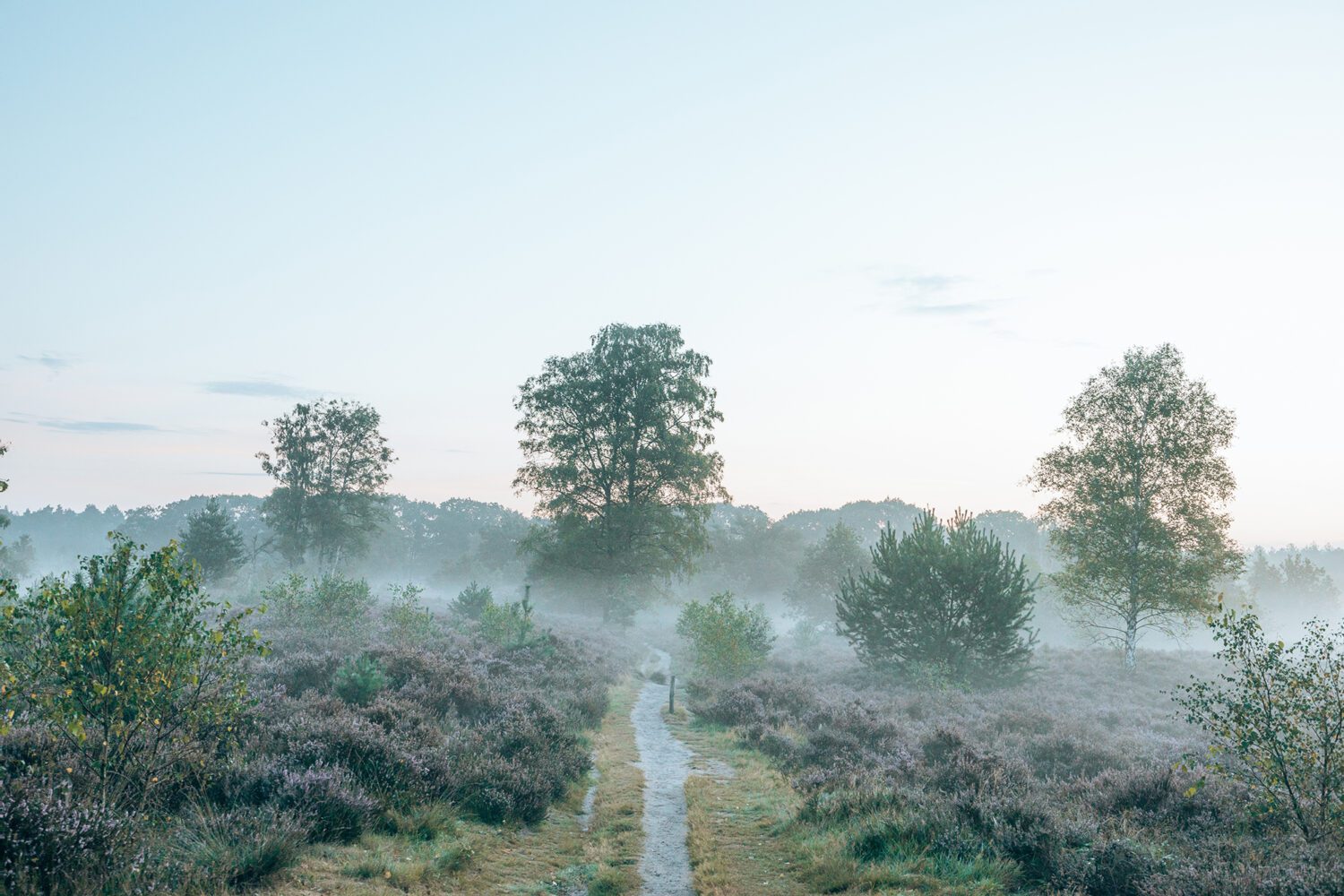 wandelroutes bij Driebergen