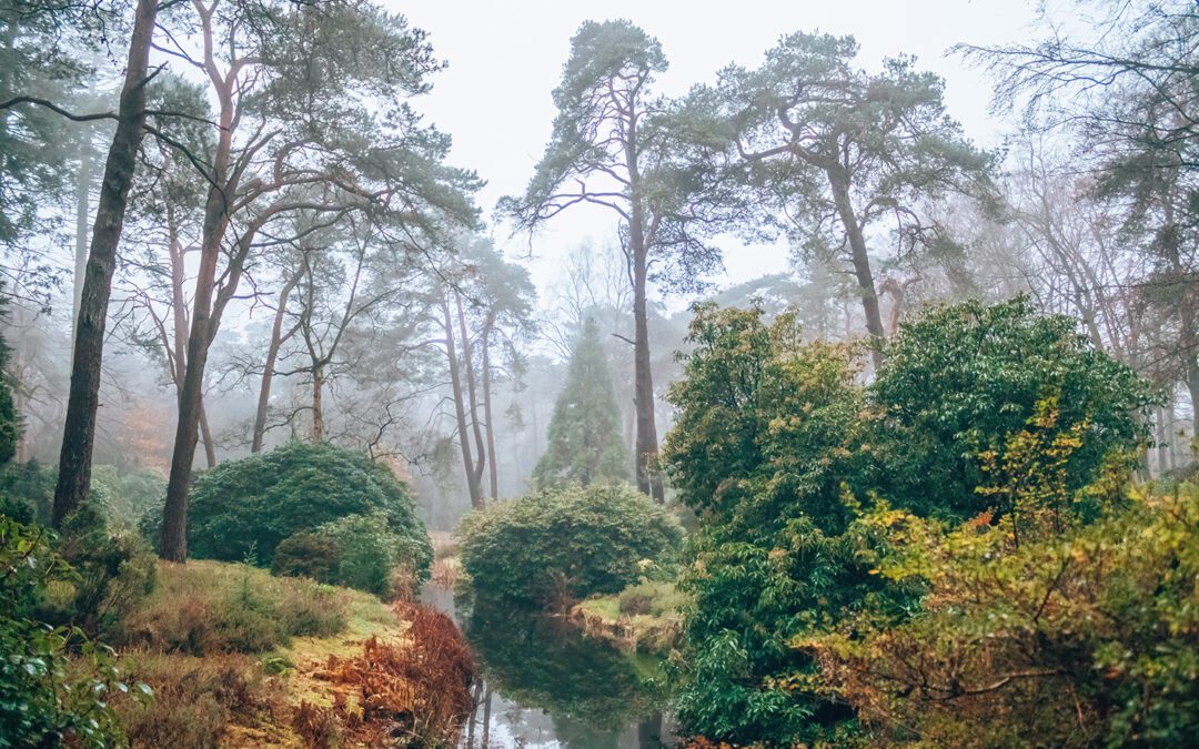 wandelroutes bij Driebergen