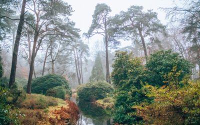 De leukste wandelroutes bij Driebergen 