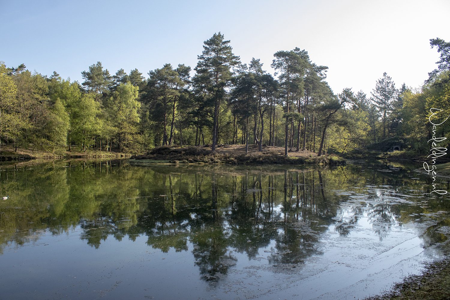 wandelroutes bij Driebergen