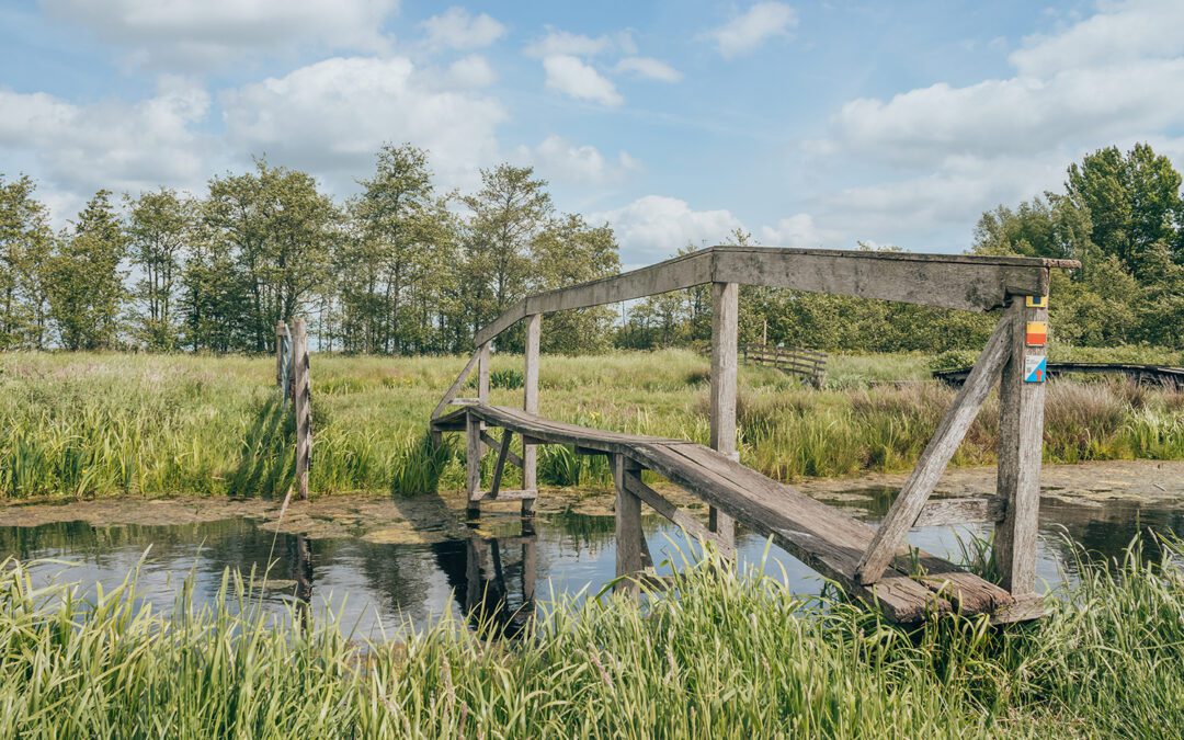 Hooge Boezem