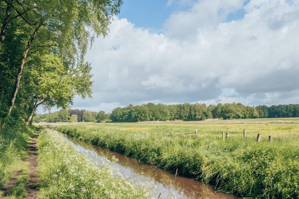 Wandelen Langs De Regge Eerde En De Steile Oever Wandeldingen Nl