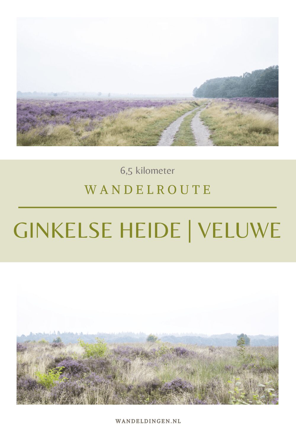 wandelroute ginkelse heide