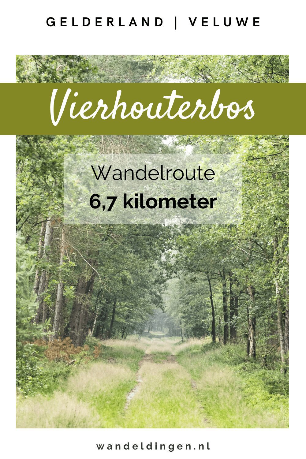 Vierhouterbos