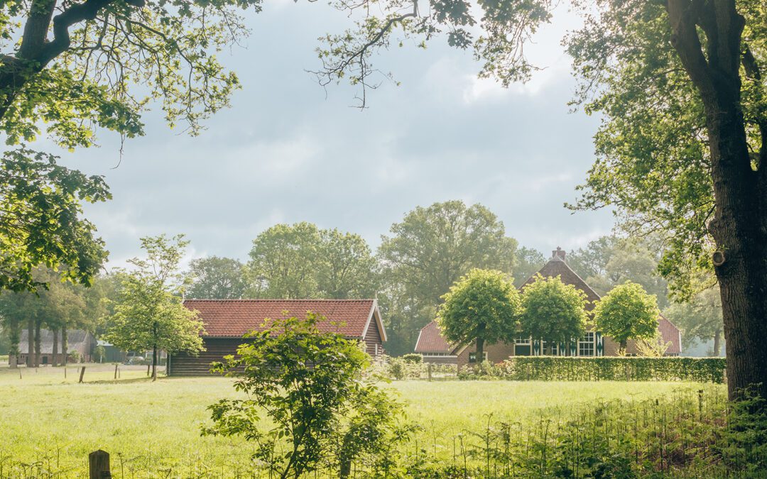 Wandelen bij Ommen