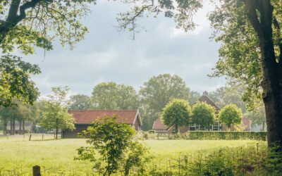 Wandelen bij Ommen: de mooiste wandelroutes