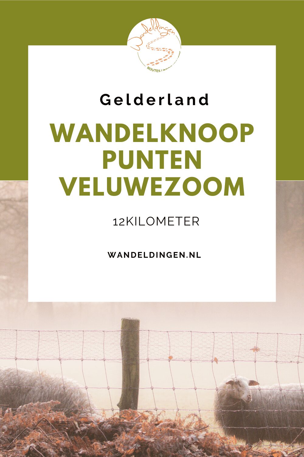 Wandelknooppunten veluwezoom