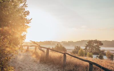 Komootroute over het Hulshorsterzand