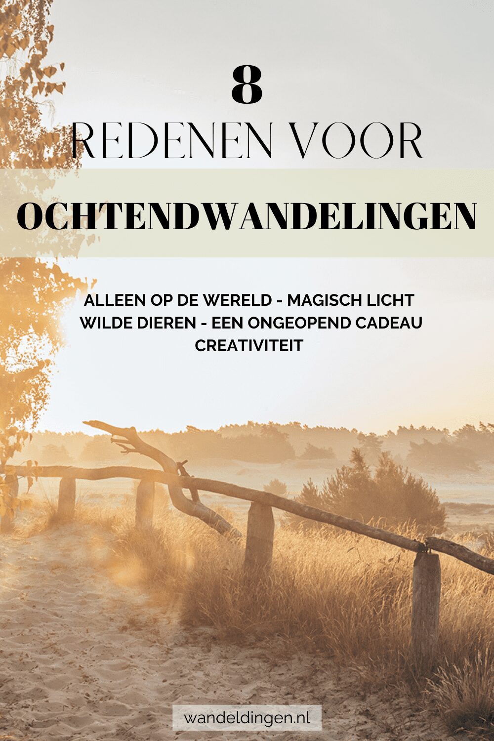 ochtendwandeling