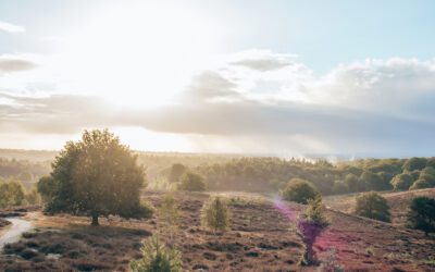 Wandelroute Herikhuizen Veluwezoom