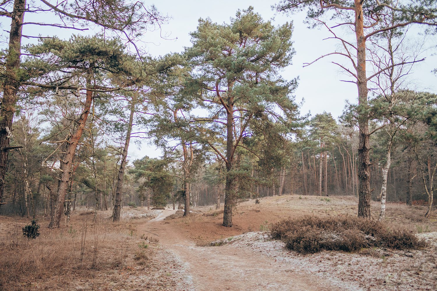 Trage Tocht Bilthoven