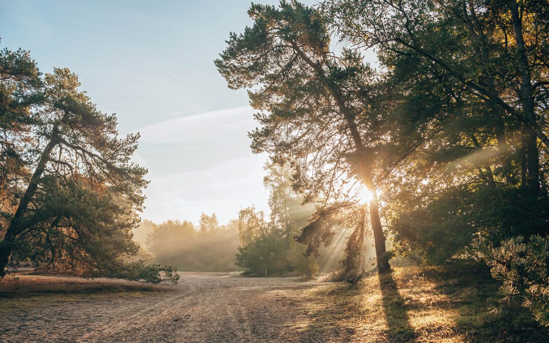 wandelavonturen 2022