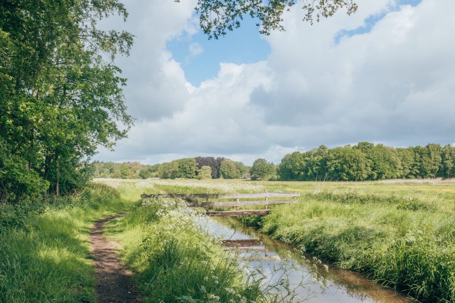 wandelavonturen 2022