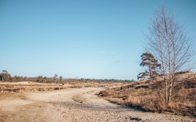 Wandelen op de Roestelberg bij Kaatsheuvel