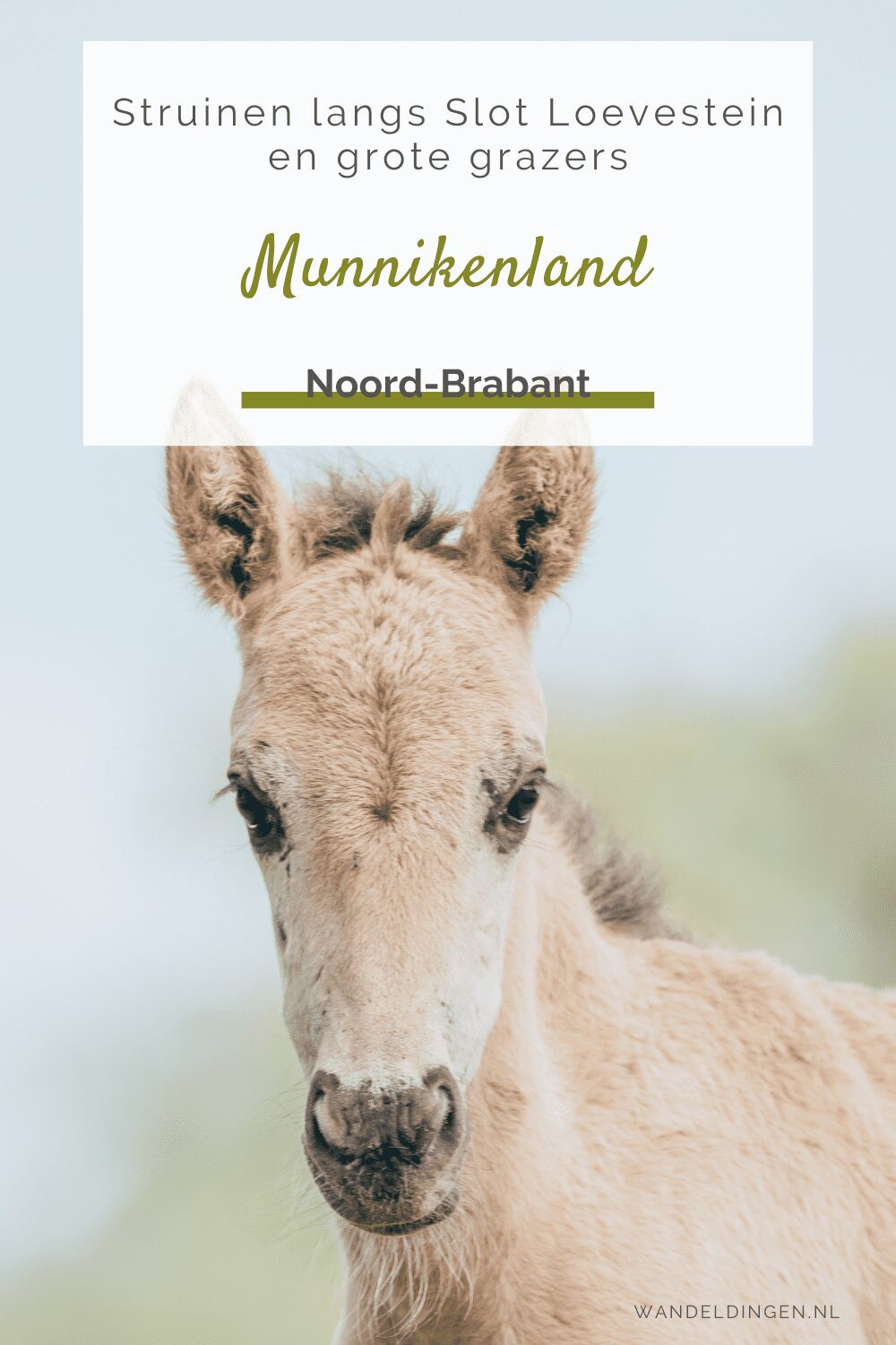 Munnikenland