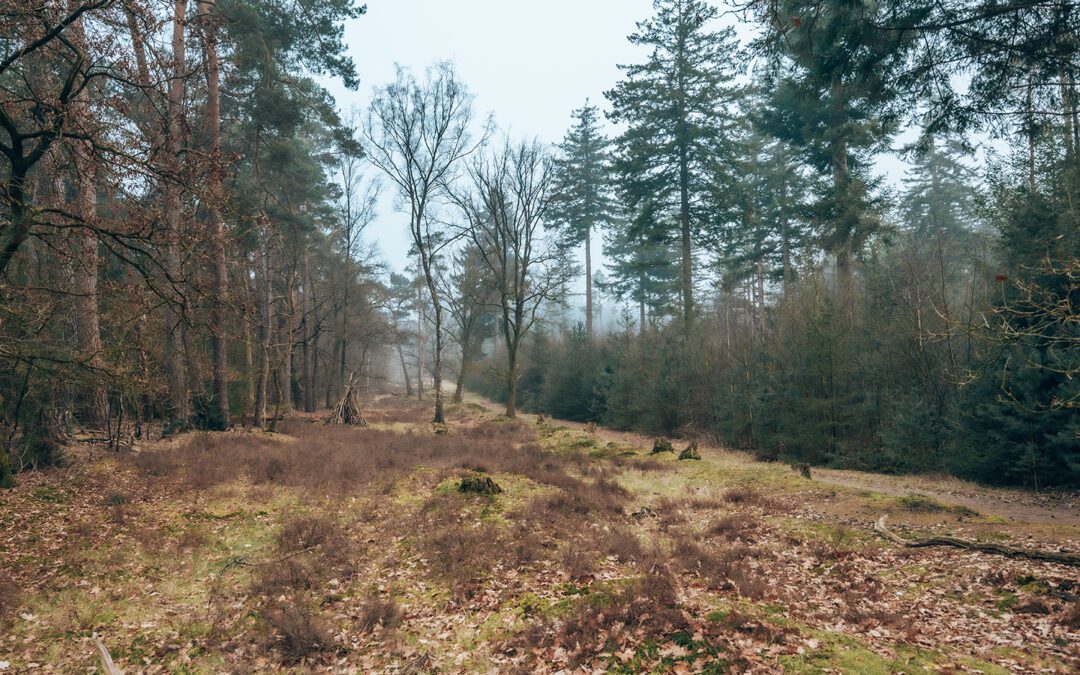 Kort & Prachtig Zuylestein