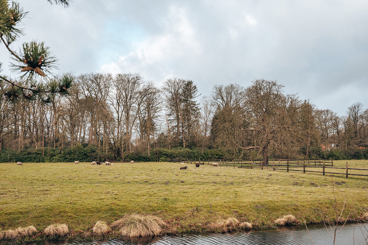 's-gravelandse buitenplaatsen