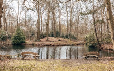 Trage Tocht ‘s-Graveland: over vier buitenplaatsen