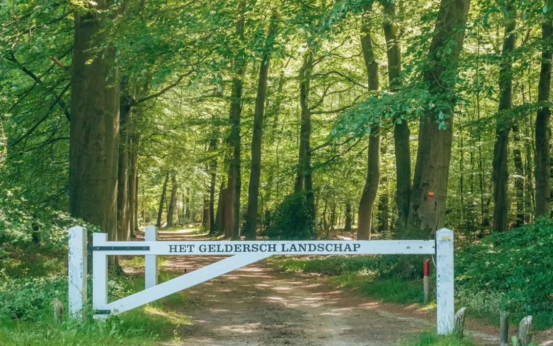 mooiste wandelroutes veluwe