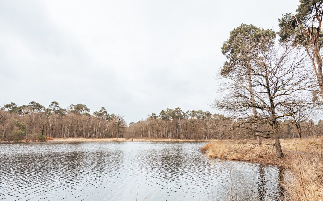 14 vennenroute Oisterwijk