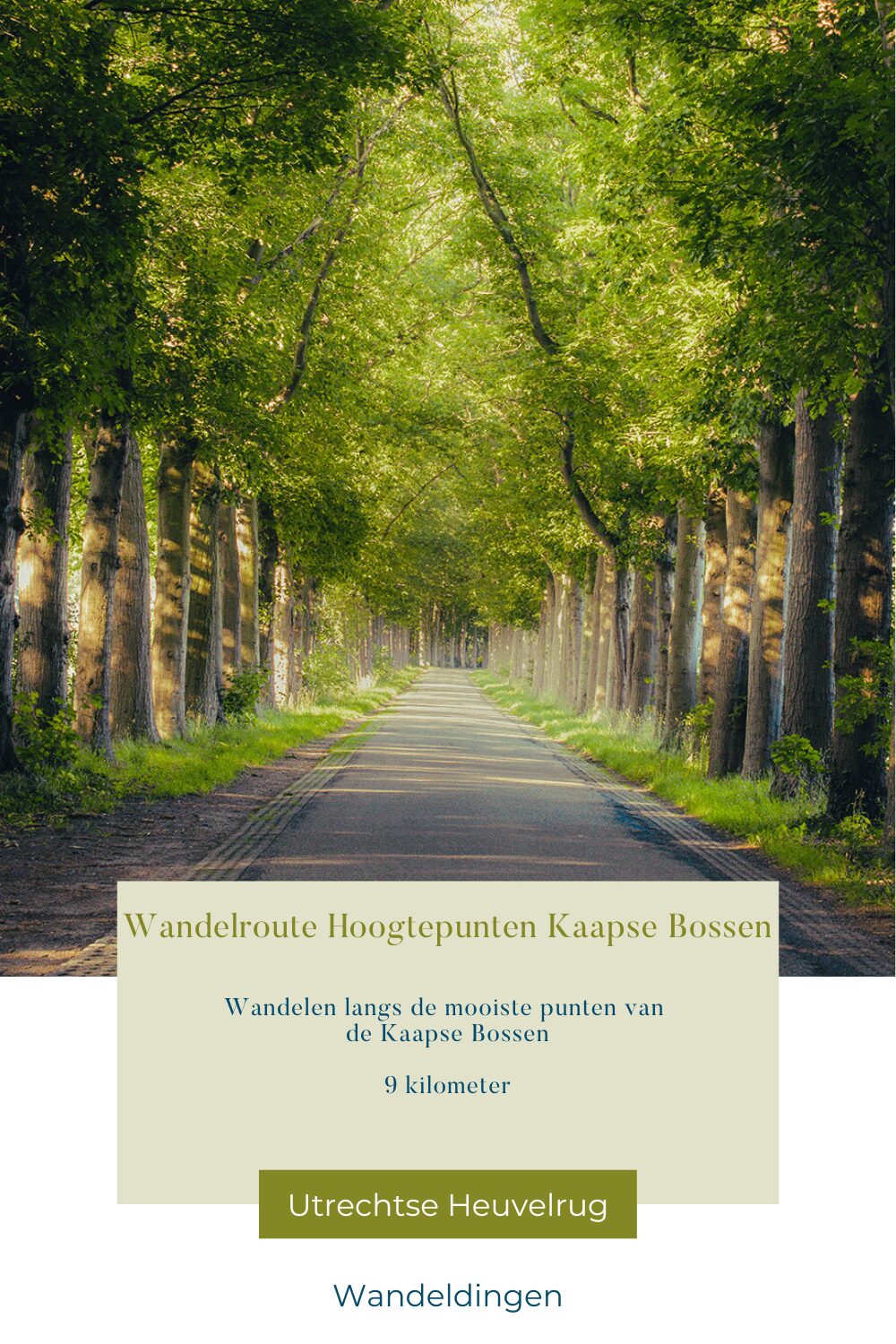 wandelroute Kaapse Bossen